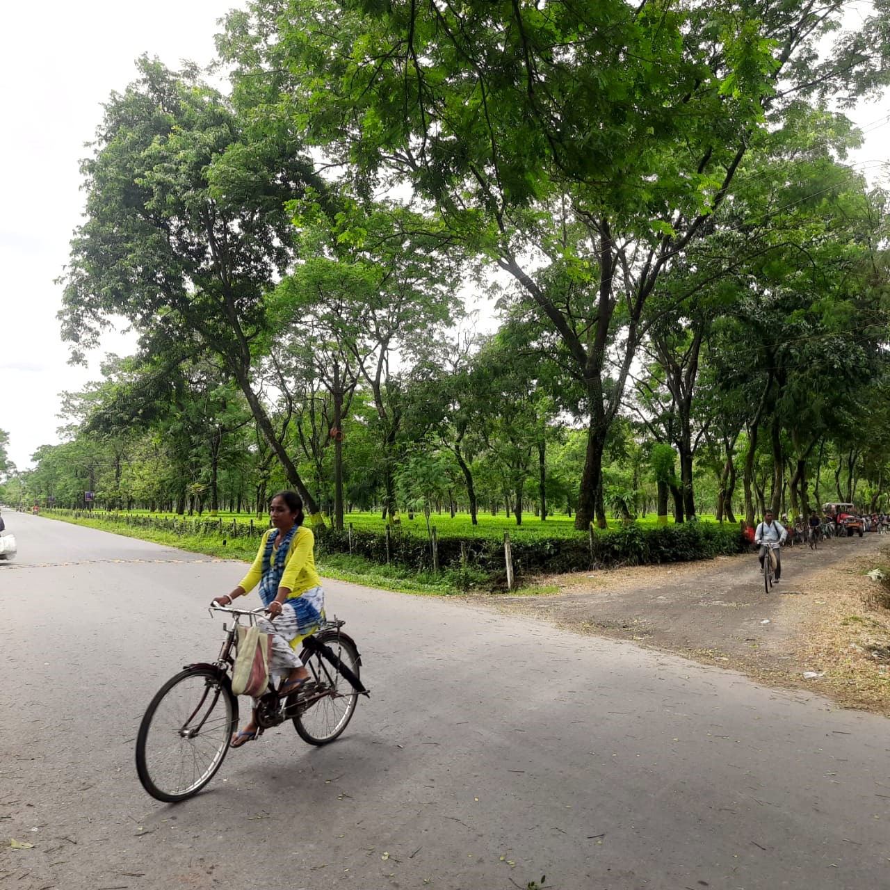 A tea workers on cycle